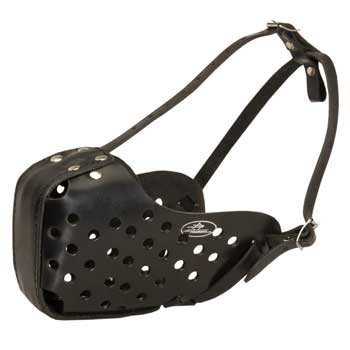 Schutzhund Dog Muzzle for Agitation Training