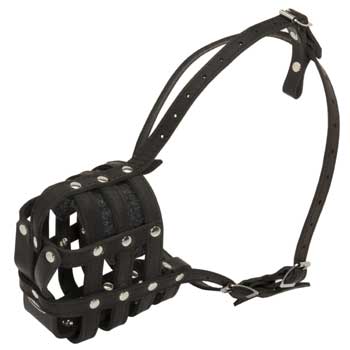 Leather Cage Schutzhund Dog Muzzle Padded