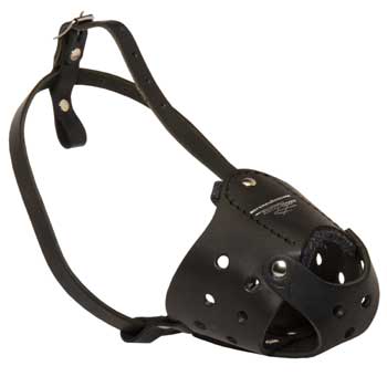 Walking Leather Muzzle for Schutzhund Dog