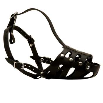 Leather Schutzhund Dog Well-Fitting Muzzle