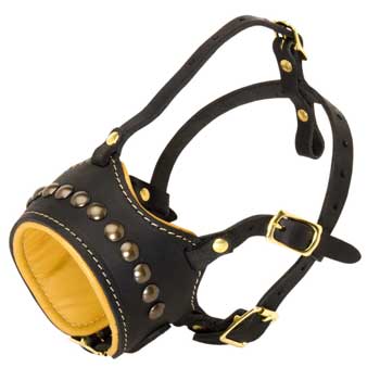 Schutzhund Dog Muzzle for Walking