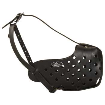 Safe Leather Muzzle for Schutzhund Dog Walking